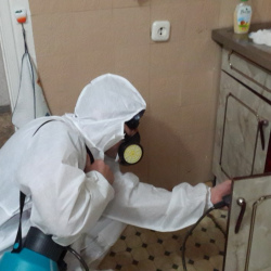 Дезинфекция от муравьев в квартире Цветной бульвар метро Москвы