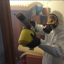 Уничтожение клопов в квартире. Цветной бульвар