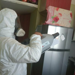 Уничтожение насекомых в квартире. Цветной бульвар